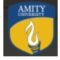 Amity International School