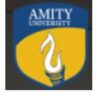 Amity International School