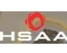 H S Ahuja & Associates