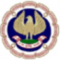 The Institte of Chartered Accountants of India