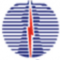 Power Grid Corporation of India Limited