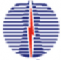Power Grid Corporation of India Limited