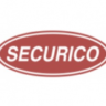 Securico Electronics India Limited