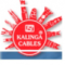 Kalinga Electrical Industries
