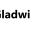 Gladwin Global Inc
