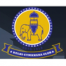 Delhi Gymkhana Club