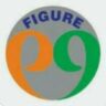 FIGURE 99 Mega Mart (P) Ltd.