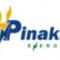 Pinakin Energy