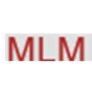 MLM India Limited