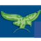 Eagle Medical Systems Pvt. Ltd.