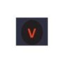 Vishesh Overseas Inc