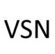 VSN Associates India LLP
