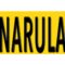 Narula Group of Industries