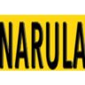Narula Group of Industries