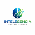 Intelegencia Analytics Pvt. Ltd.